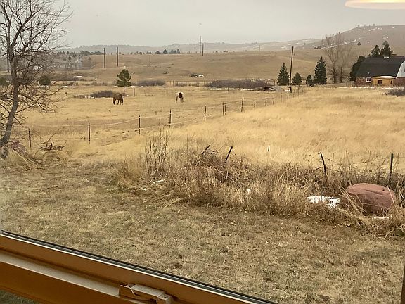 View of pasture from livingroom