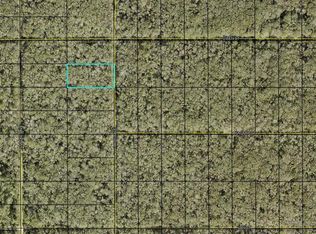 Ruth Ave #181, Hastings, FL 32145