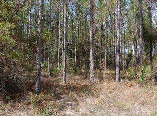 560 SW 694th St, Steinhatchee, FL 32359