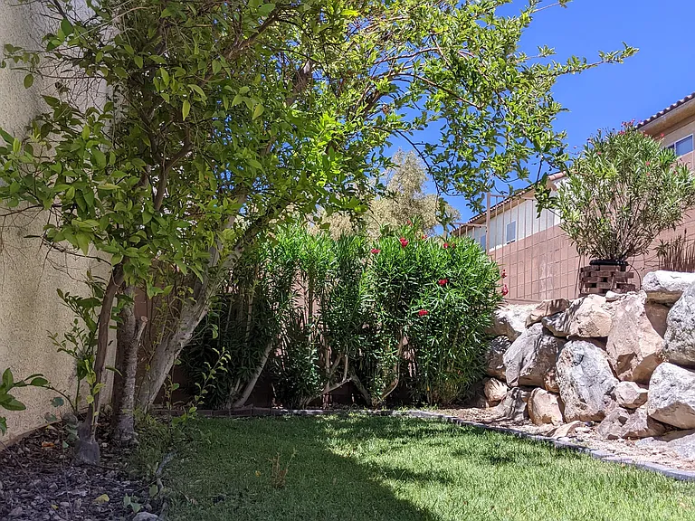 8102 Base Camp Ave — Photo 2