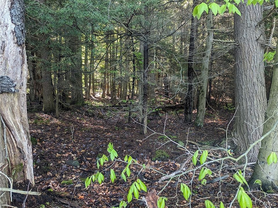 0 Peth Rd Cortland NY Zillow