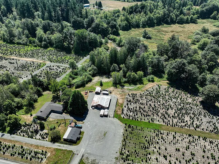 18021 Issaquah Hobart Rd SE — Photo 5