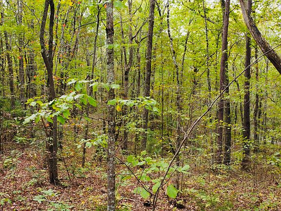 4th image of 766 Crockett Lake Dr
