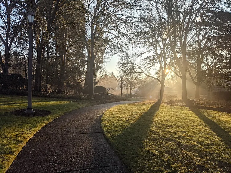 Jenne Lake Private Park