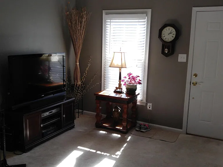 58 Dehaven Dr — Photo 6