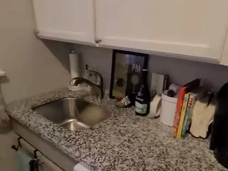 419 Pearl St #2 — Photo 6