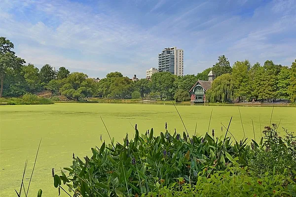 Sold by Compass | media 21