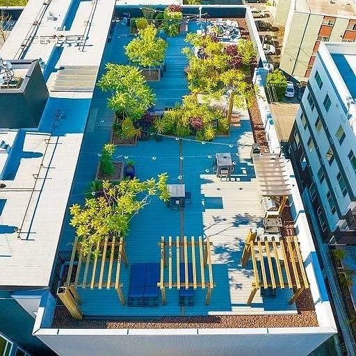 roof top view