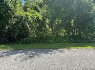 5113 S La Belle Dr, Inverness, FL 34452