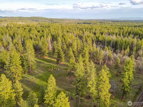 0 Lot 15 Greyback Mt Road, Goldendale, WA 98620