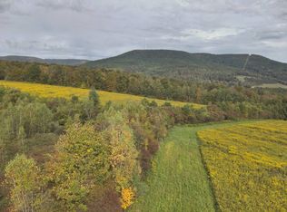 0 Patton Rd, Noxen, PA 18636