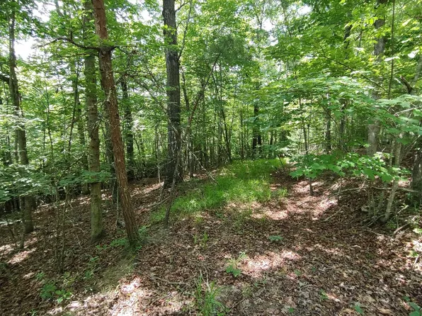 26 Wolf Creek Spur, Mineral Bluff, GA 30559