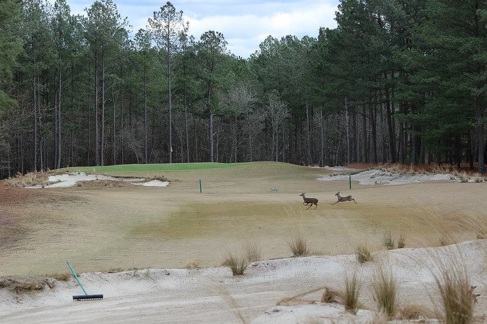2nd image of NO 25 Peach Orchard Rd #25