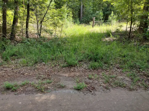 Willow Point Marina Rd, Lone Star, TX 75668