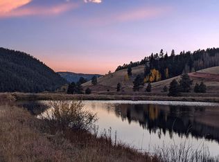 7522 County Road 61 #E, Divide, CO 80814