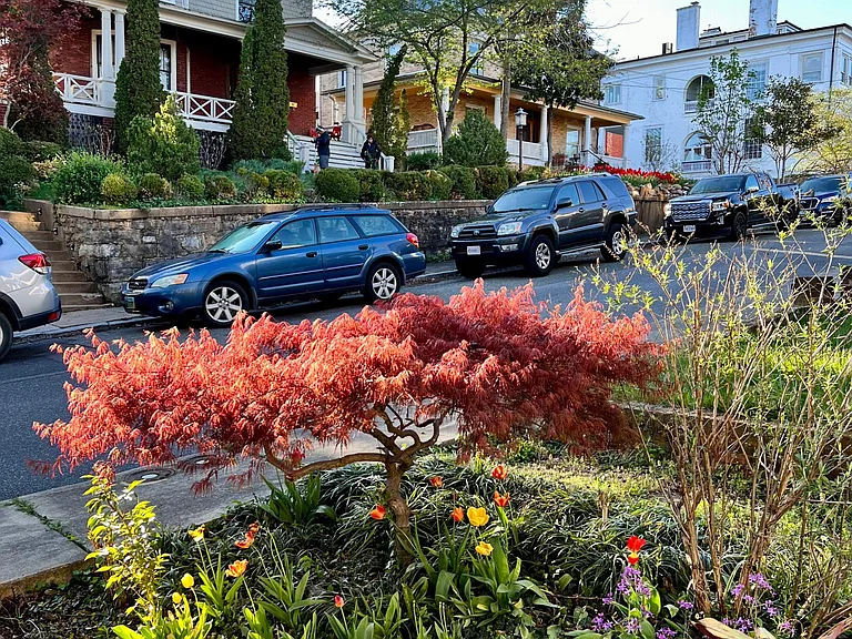 125 Madison Pl — Photo 41