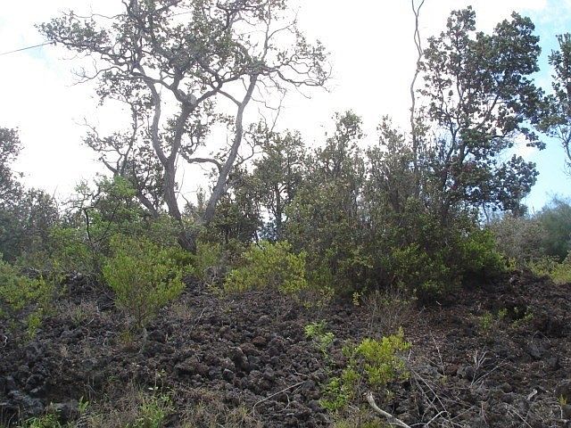 2nd image of Catamaran Ln Lot 25