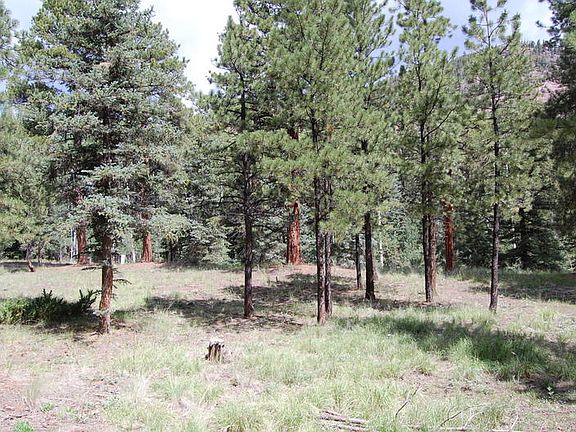 4th image of LOT 126 Bear Creek