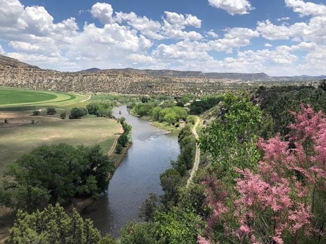 View from the back yard.