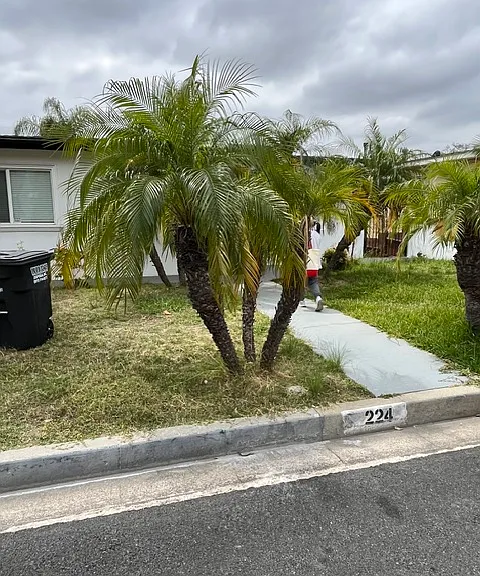 224 W Fernfield Dr #1 — Photo 12