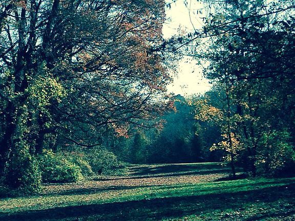 Beyond the bog prior to gc