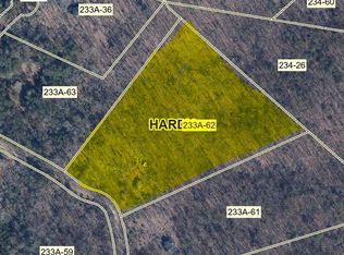 1195 Moores Run Rd, Wardensville, WV 26851