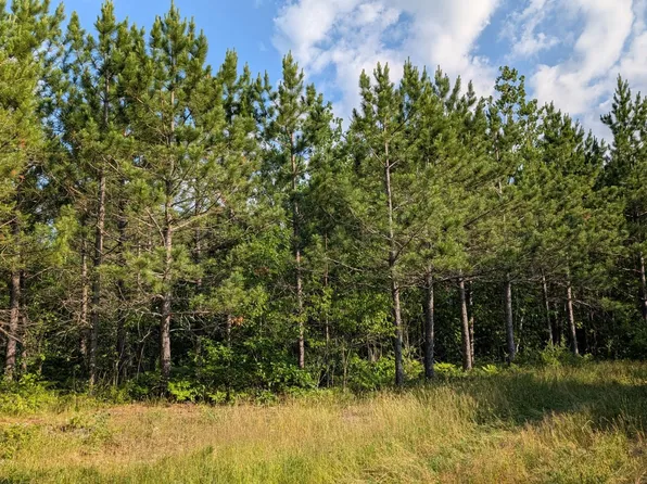 LOT Highway 24 #C, Orr, MN 55771