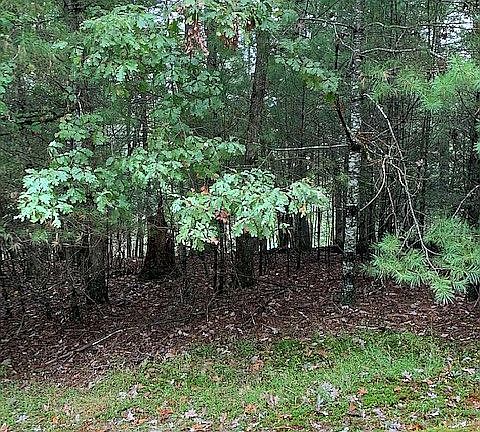4th image of White Pine Trl