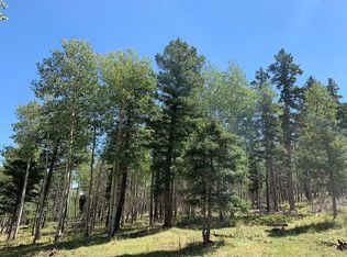 LOT 19 W Bear Paw Rd, Angel Fire, NM 87710