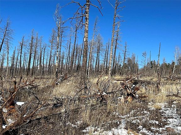 3rd image of LOT 1039 Forbes Rd