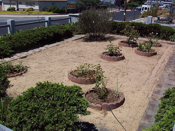 front yard with cement walkway and rose garden