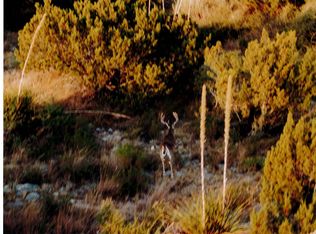 1523 Chriesman Rd, Dryden, TX 78851