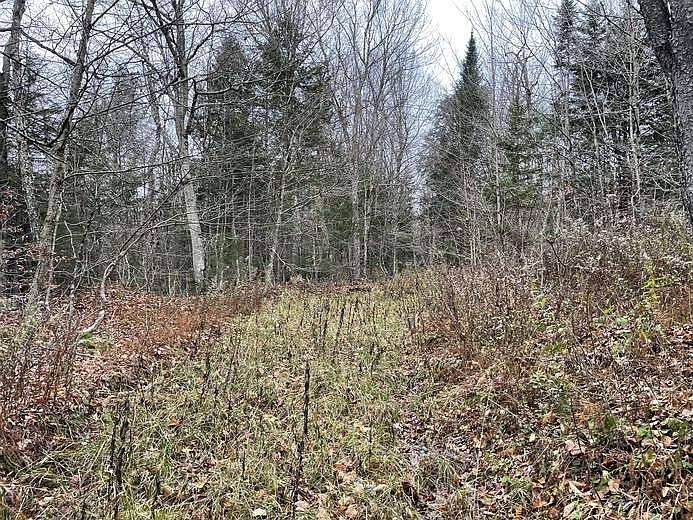 1.11 Mud Brook Rd Constableville, NY, 13325 Apartments for Rent Zillow