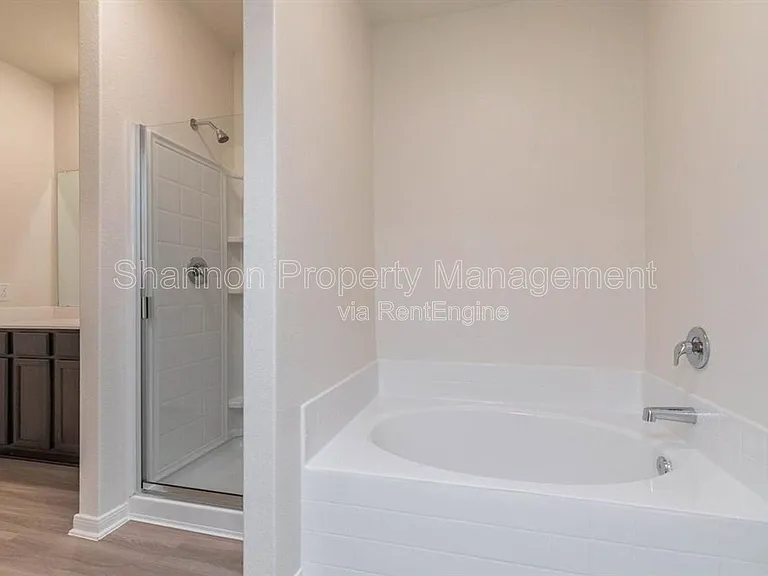 20722 Nala Bear Dr — Photo 6