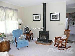 Gas Stove in Living Room