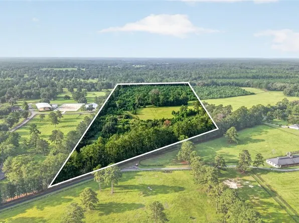 15958 W HWY 318, WILLISTON, FL 32696