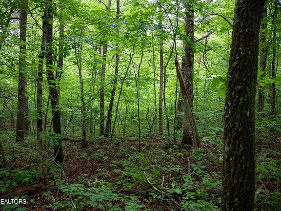 2nd image of LOT Six Cumberland Lakes Dr