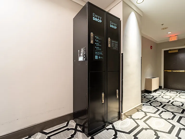 Dry cleaning lockers