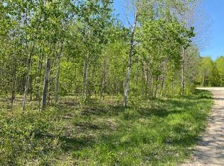 385 & 386 Pinetree Dr, Elmira, MI 49730