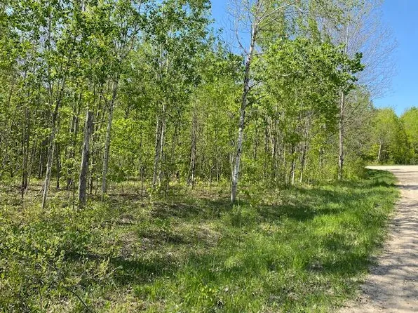 385 & 386 Pinetree Dr, Elmira, MI 49730