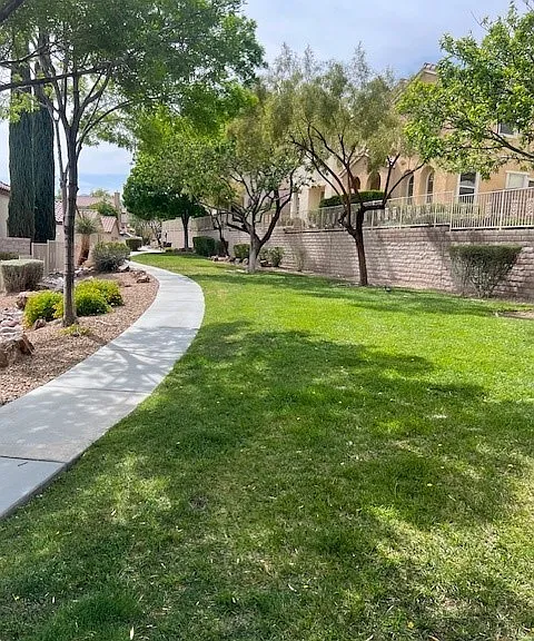 1067 Fennel Flower Ct — Photo 35