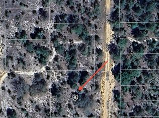 13th St LOT 41, Interlachen, FL 32148