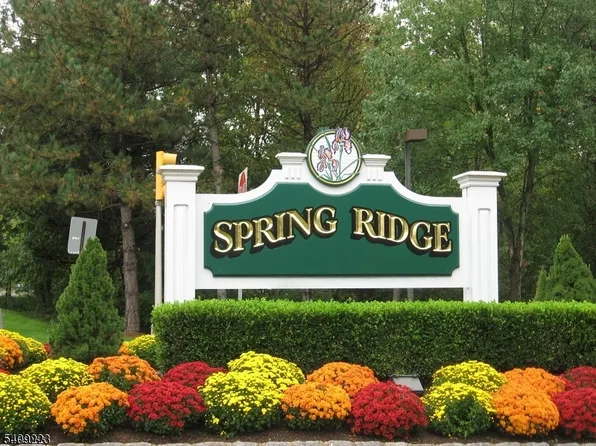 16 Alexandria Way, Basking Ridge, NJ 07920
