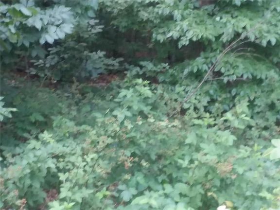 4th image of Sudbury Ln