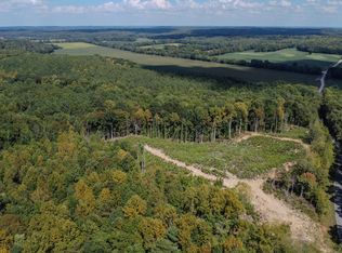 0 Robinson Levee Rd LOT 2, Mc Kenzie, TN 38201