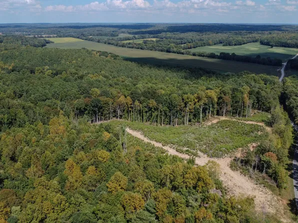 0 Robinson Levee Rd Lot 2, Mc Kenzie, TN 38201