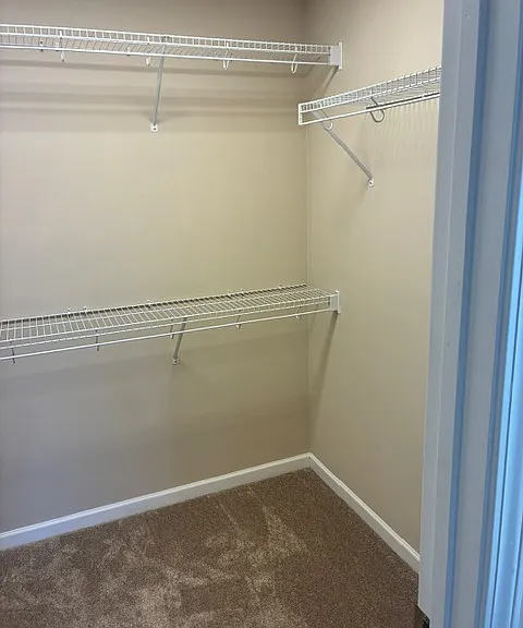 4805 Poplar Crest Way — Photo 21