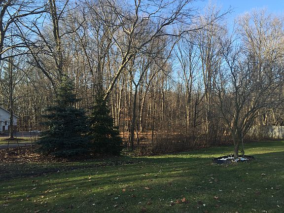 Backyard facing west