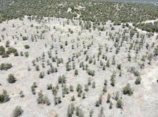 Twin Peaks Dr LOT 16, Estancia, NM 87016