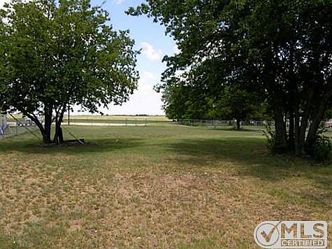 Another Back Yard View